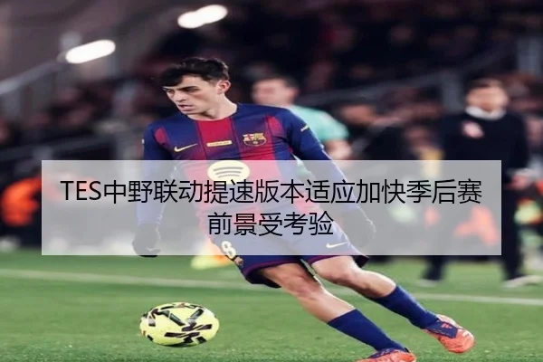 TES中野联动提速版本适应加快季后赛前景受考验